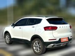 2018 Haval H2s 2018 1.5T AT Red LabelLuxury #7