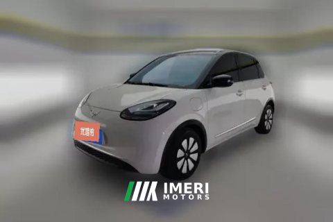 2024 Wuling Motors Wuling Bingo 2024 333km Joy