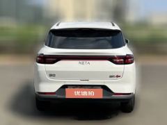 2023 Neta AYA 2023 318 Lite #8