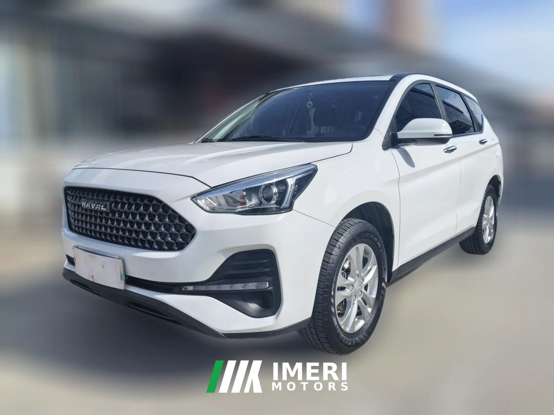 2021 Haval M6 2019 1.5T AT DCTElite China VI