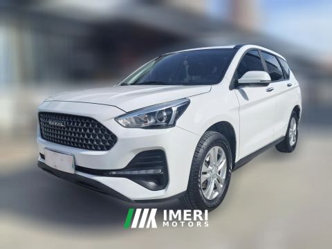 2021 Haval M6 2019 1.5T AT DCTElite China VI