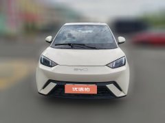 2025 BYD Seagull 2024 Glory 305km vitalityEdition #2