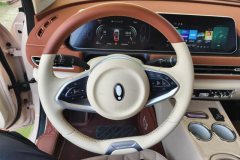 2025 Ora Good Cat 2024 401km Luxury #15
