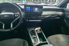 2021 Haval Chitu 2021 1.5T AT ProvokingEdition golden rabbit #13