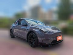 2021 Tesla Model Y 2021Long Rangeall wheel driveEdition 3D7 #3