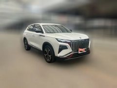 2024 Dongfeng Fengshen Haoji 2024 Mach Power 1.5T Premium #3