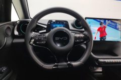 2025 BYD Dolphin 2025 Smart Drive 420km freeEdition #15