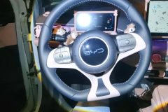 2024 BYD Seagull 2025 305km freeEdition #15