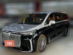 2025 Voyah Dreamer 2025 1.5T AT PHEV 4WDNoble KunpengEdition #1