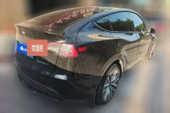 2021 Tesla Model Y 2021StandardBattery lifeRWDEdition #3