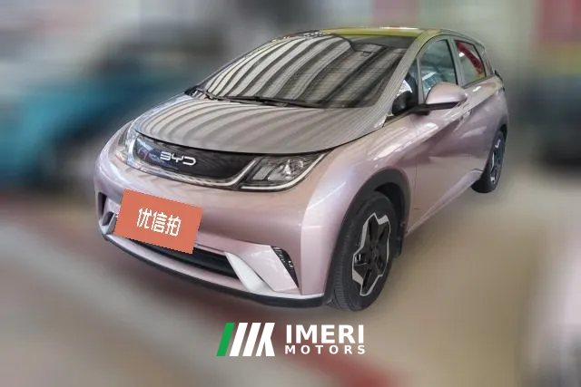 2022 BYD Dolphin 2021 405km Fashion