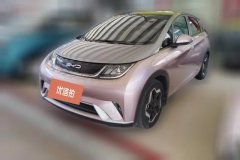 2022 BYD Dolphin 2021 405km Fashion #1