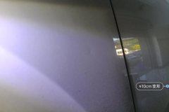Left Front Fender