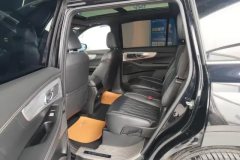 2022 GAC Trumpchi Trumpchi GS8 2022 PilotSeries 2.0TGDI AT 2WDLuxurySmart Connect（6Seat） #11