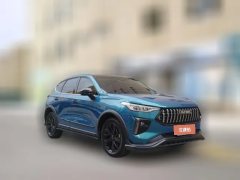 2021 Haval Chitu 2021 1.5T AT ProvokingEdition Platinumrabbit #3
