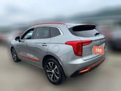 2021 Haval Chulian 2021 1.5T AT Large4Edition #4