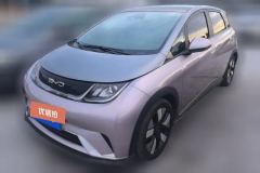2021 BYD Dolphin 2021 401km knightEdition #1