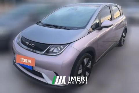 2021 BYD Dolphin 2021 401km knightEdition