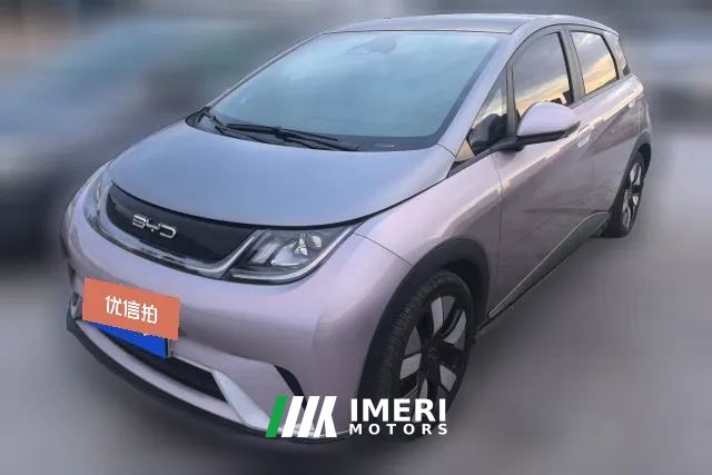 2021 BYD Dolphin 2021 401km knightEdition
