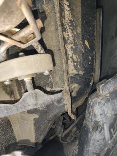 Body Floor
