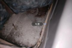 Left Rear Carpet