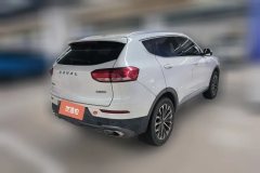 2019 Haval H6 2020 1.5T AT PlatinumChampion #3