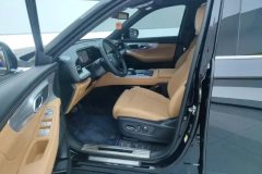 2025 GAC Trumpchi Trumpchi GS8 2025 PilotSeries 2.0TGDI AT 2WDLuxury 5Seat #9