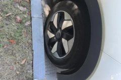 2025 BYD Dolphin 2025 Smart Drive 420km freeEdition #6