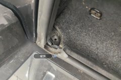 Trunk Seal