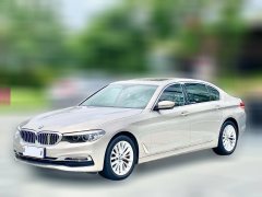 2019 BMW 5 Series 2019 2.0T AT 530LiLeadingLuxury Pkg #1