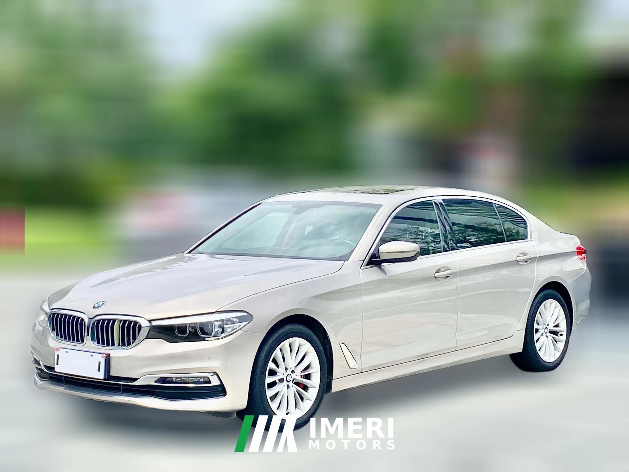 2019 BMW 5 Series 2019 2.0T AT 530LiLeadingLuxury Pkg