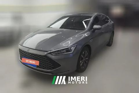 2024 BYD Qin Plus 2024 Glory 1.5L AT DM-i 55KMLeading