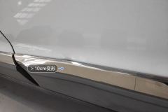 Left Rear Door