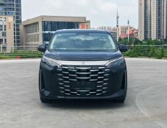 2025 BYD Xia 2025 DM-i 1.5T AT 180km Surpass #8