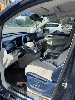 2020 Roewe iMAX8 2021 2.0T AT 400TGISupremeSeriesHonor #7