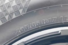 2023 Tank 300 2024 2.0T AT challenger #9