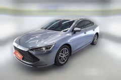 2023 BYD Qin Plus 2023 Champion 1.5L AT DM-i 55KMSurpass #1