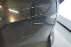 Trunk Lid