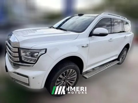 2023 Tank 500 PHEV 2023 2.0T AT Hi4-T