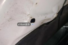 Engine Hood