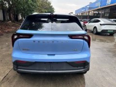 2022 Geometry E Firefly 2022 320KM Well behaved tiger 4Seat #5