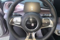 2021 BYD Dolphin 2021 401km knightEdition #15