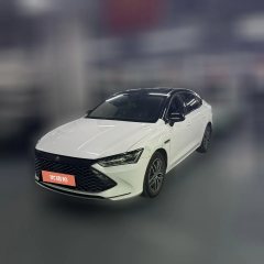 2022 BYD Qin Plus 2021 1.5 AT DM-i 120KM Premium #1
