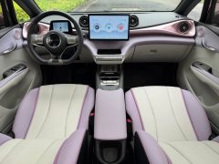 2022 BYD Dolphin 2021 405km Fashion #12