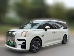 2023 Zeekr 009 2022 WEEdition #1