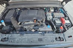 2023 Tank 300 2023 Off-road 2.0T AT conqueror #10