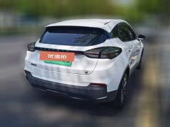 2023 Geometry C 2020 preferredRange 400KM C+ #8
