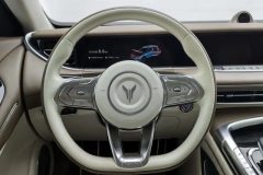 2021 Voyah Free 2021 4WDStandardEREVExclusiveLuxury Pkg #15