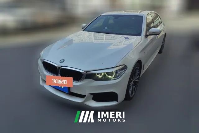 2019 BMW 5 Series 2019 2.0T AT 530LiLeadingMSport Pkg Facelift