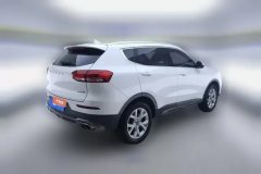 2019 Haval H6 2019 1.5T AT Red LabelChampion #3